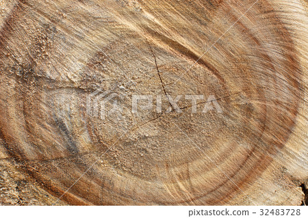 heartwood Background pattern heartwood Background pattern 32483728