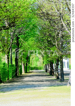 tunnel of tree in gardent from czech 32484397
