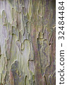 wood beside of raod for background 32484484