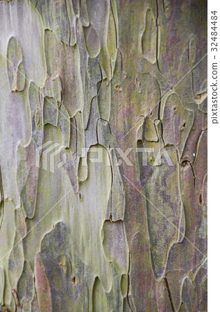 wood beside of raod for background 32484484