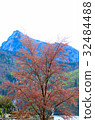 cherry blossom in gardent from Hallstatt Bahnhst 32484488