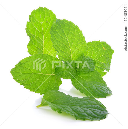 Fresh raw mint leaves isolated on white background 32485034