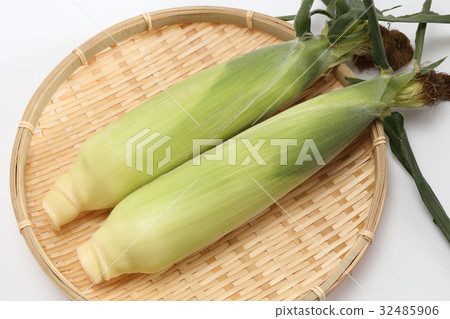Freshly picked corn 32485906