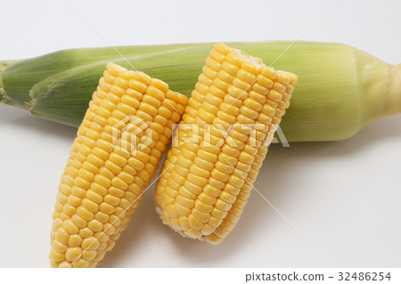 Freshly harvested corn Freshly harvested corn 32486254