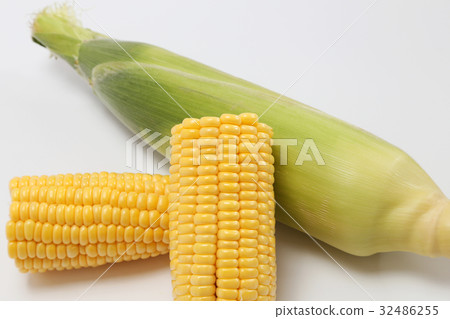 Freshly harvested corn 32486255