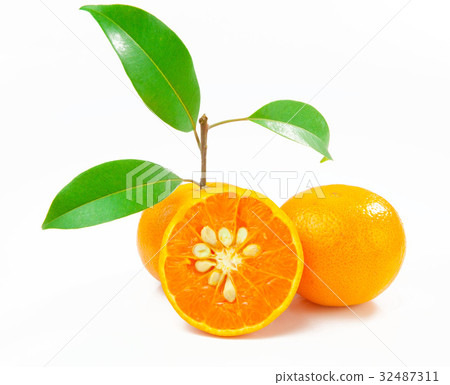 Orange isolated Orange isolated 32487311