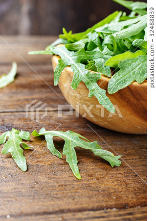 Fresh arugula salad Fresh arugula salad 32488839