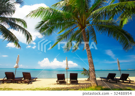 three pairs 32488954