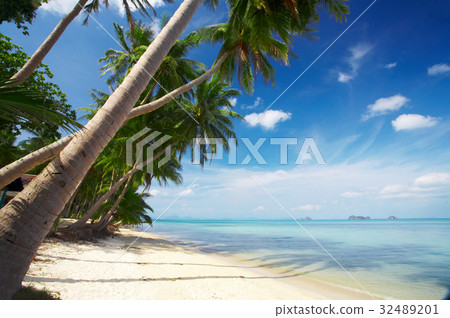 palm beach palm beach 32489201