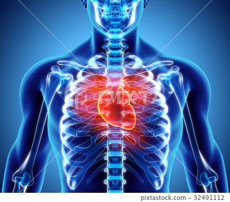 3D illustration of Heart, medical concept. 32491112