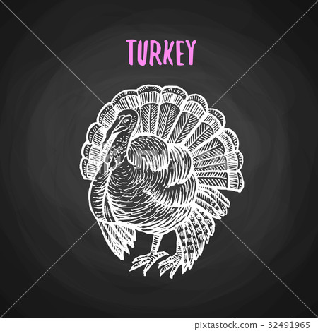 Bird turkey in chalk style on blackboard - Stock Illustration [32491965 ...