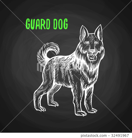 Guard dog in chalk style on blackboard Guard dog in chalk style on blackboard 32491967