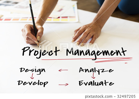 Project management business organization strategy Project management business organization strategy 32497205