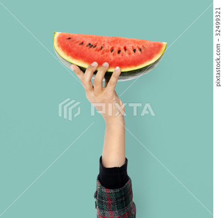 Hand Holding Watermelon Isolated Concept Hand Holding Watermelon Isolated Concept 32499321