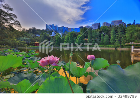 CUHK Reflection of the Lake Shatin CUHK Reflection of the Lake Shatin 32499789