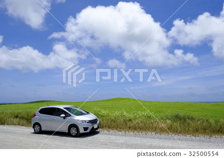 草原和汽車 32500554