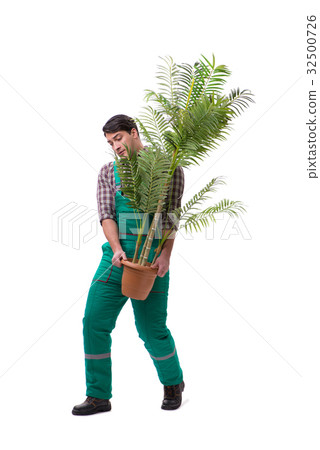 Young man gardener isolated on white Young man gardener isolated on white 32500726