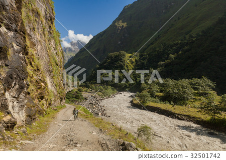 Treking in Annapurna circuit, Nepal. 32501742