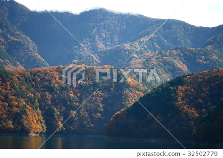 Autumn leaves of Okutama Lake Autumn leaves of Okutama Lake 32502770