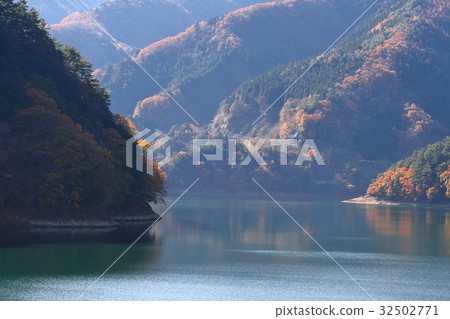 Autumn leaves of Okutama Lake Autumn leaves of Okutama Lake 32502771