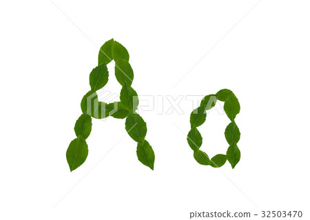 Letter A, alphabet made from green leaves Letter A, alphabet made from green leaves 32503470