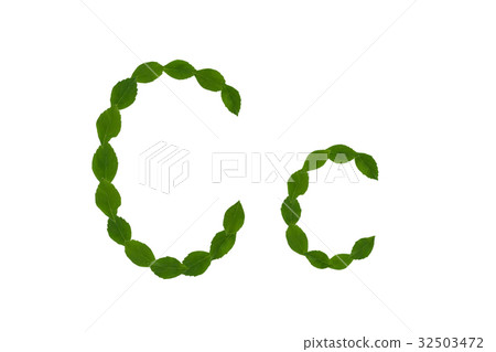 Letter C, alphabet made from green leaves Letter C, alphabet made from green leaves 32503472