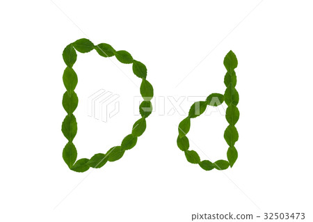 Letter D, alphabet made from green leaves Letter D, alphabet made from green leaves 32503473