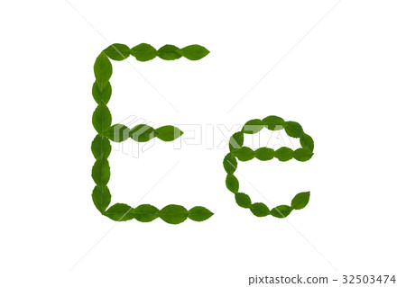 Letter E, alphabet made from green leaves 32503474