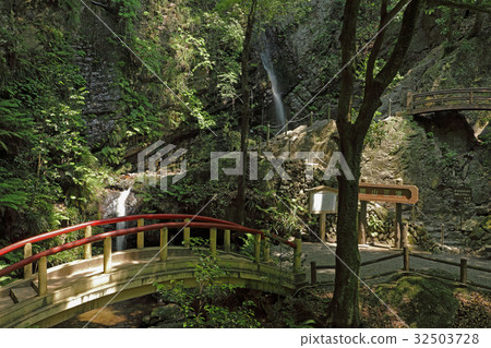 Kurosan Mitsubaki · Male Falls and Masaki Ogose Town 32503728