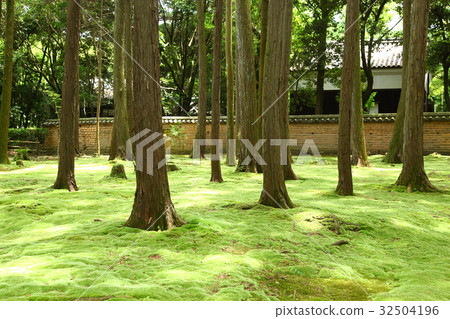 Toshodai-ji Temple Kannai Shinkansen入口到小町神社 32504196