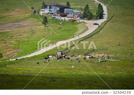 An overhead view of pasture land from Ushibobesan 32504239