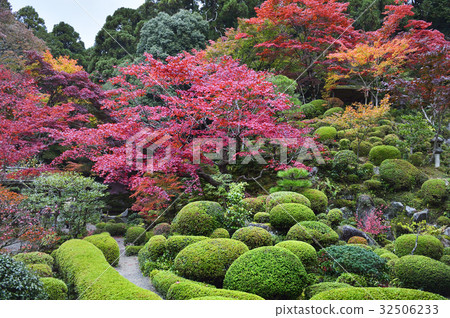 Kanji Wadaiji Scenic spot scenic garden gardens old-fashioned garden 32506233