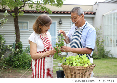 Senior couple standing in the garden 32507644