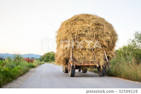 Tractor full with hay on the road 32509128