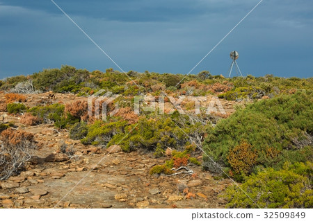 Landscape in Tasmania Landscape in Tasmania 32509849