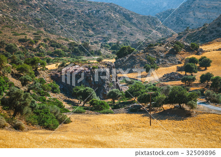 olive fields on Crete Island in Greece 32509896