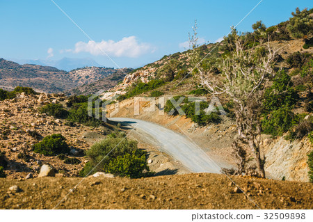olive fields on Crete Island in Greece 32509898