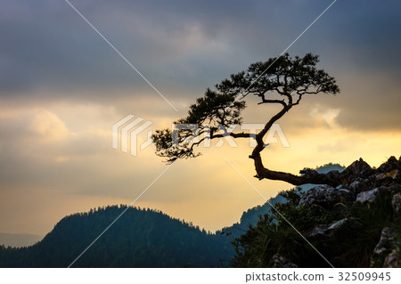 Sokolica peak in Pieniny Mountains, Poland 32509945