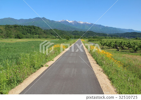 Road in beautiful natural landscape 32510725