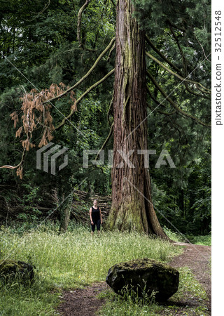 German National Park hiking girl on trail beside a German National Park hiking girl on trail beside a 32512548