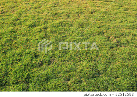 Background of a green grass. 32512598