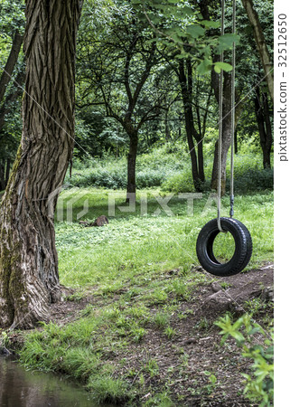 Car tire used as swing on tree forest near creek Car tire used as swing on tree forest near creek 32512650