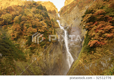 Famous Falls and Autumn Leaves Famous Falls and Autumn Leaves 32512776