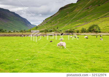 Lake District National Park, England, selective 32512974