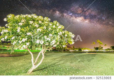 Milky Way in Kaanapali District 32513003