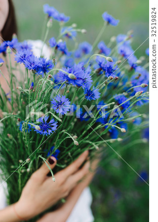 Girl with a bouquet of lavender Girl with a bouquet of lavender 32519824
