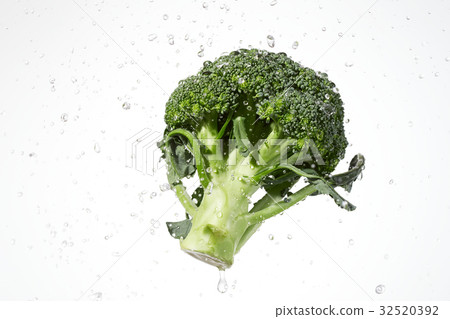Broccoli Sizzle Broccoli Sizzle 32520392