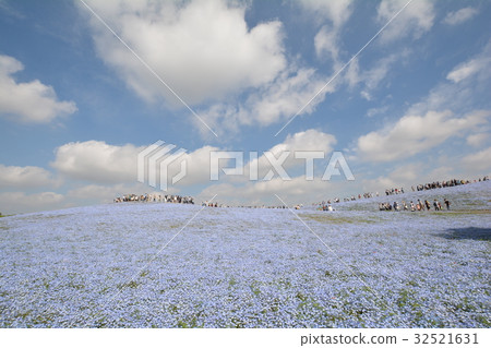 Hitachi Beach Park 2017-5-5 # 20 Hitachi Beach Park 2017-5-5 # 20 32521631