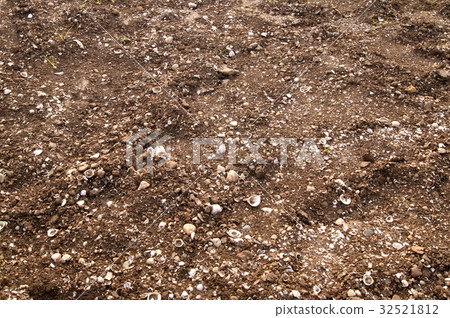 Shell mound (Kusukatsu ruins) Shell mound (Kusukatsu ruins) 32521812