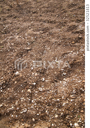 Shell mound (Kusukatsu ruins) Shell mound (Kusukatsu ruins) 32521813